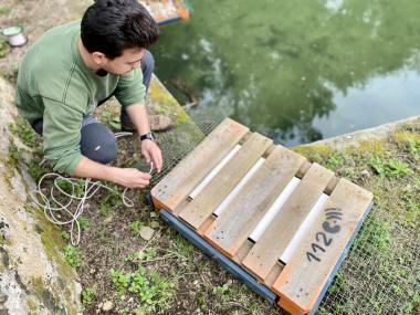Tècnic de la Fundació Natura Parc instal·lant una plataforma salvaocells al safareig de Son Trias